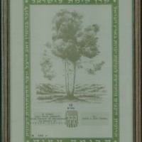 Certificato relativo ai dieci alberi piantati da Liko a Ben Shemen in memoria di Onesto Coruzzi

* Dalla ricerca della VB dell'Istituto 